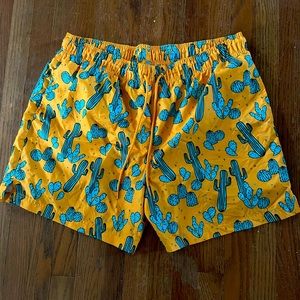 Men’s Swim Trunks- cactus